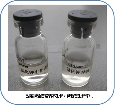食品微生物檢驗沙門氏菌檢驗常用培養(yǎng)基原理解析